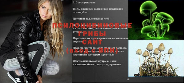 героин Белокуриха